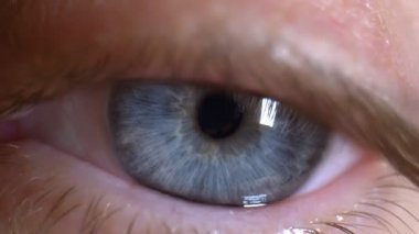extremely close-up, detailed. one blue human eye