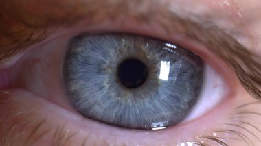 extremely close-up, detailed. one blue human eye