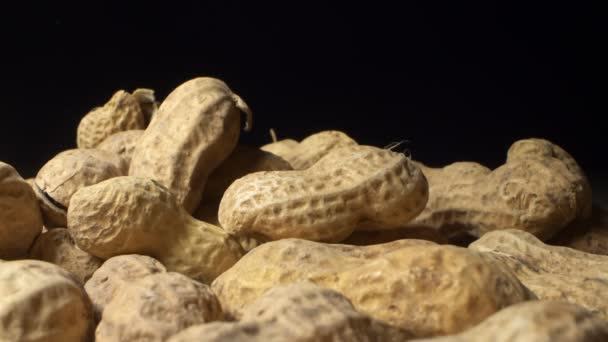 Extremadamente cerca, detallado. cacahuetes con conchas sobre un fondo oscuro. cambiar la luz de oscuridad a luz — Vídeos de Stock