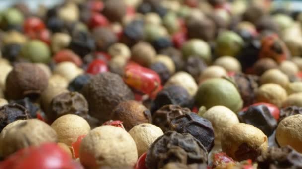 Extremely close-up, detailed. mix of five peppers, multi-colored kernels — Stock Video