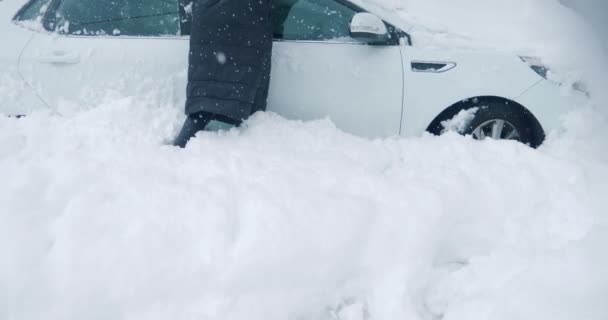 Kadın ellerini kardan temizliyor, iklim anormalliği. — Stok video