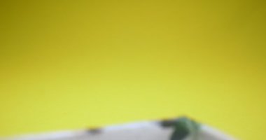 Kullanılmış sanat suluboya resimlerinin konteynırdaki detaylı yakın çekimi