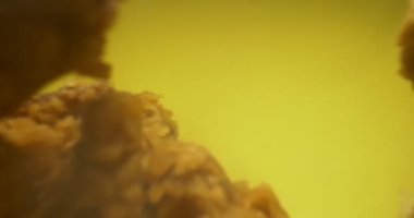 Kızarmış patateslerin detaylı yakın çekimi ve sarı arka planda dumanı olan kızarmış tavuk kanatları.