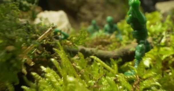 Detallado primer plano extremo de los soldados de juguete en musgo y hierba — Vídeo de stock