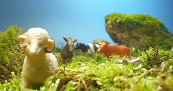 Détail extrême gros plan des figurines en plastique d'animaux à cornes dans la mousse et l'herbe — Video