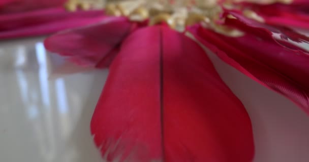 Detallado primer plano extremo de plumas atrapasueños rosa — Vídeo de stock