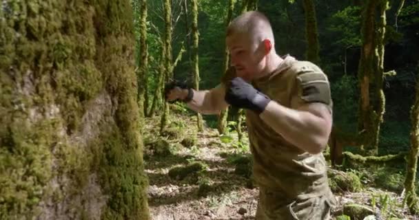 Male boxer training in the forest, boxing the trunk of a large tree — Vídeos de Stock