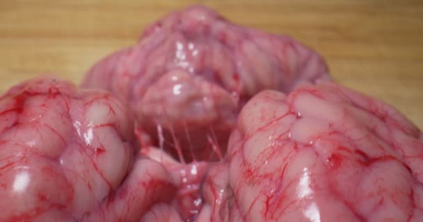 Detailed extreme close-up of raw beef brain on wooden cutting board — Stockvideo