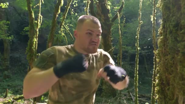 Primer plano, cámara súper lenta. boxeador masculino entrenando en el bosque, boxeando el tronco de un árbol grande — Vídeos de Stock