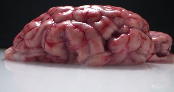 चमकती रोशनी। काले पृष्ठभूमि पर कच्चे बीफ मस्तिष्क का विस्तृत चरम क्लोज-अप — स्टॉक वीडियो