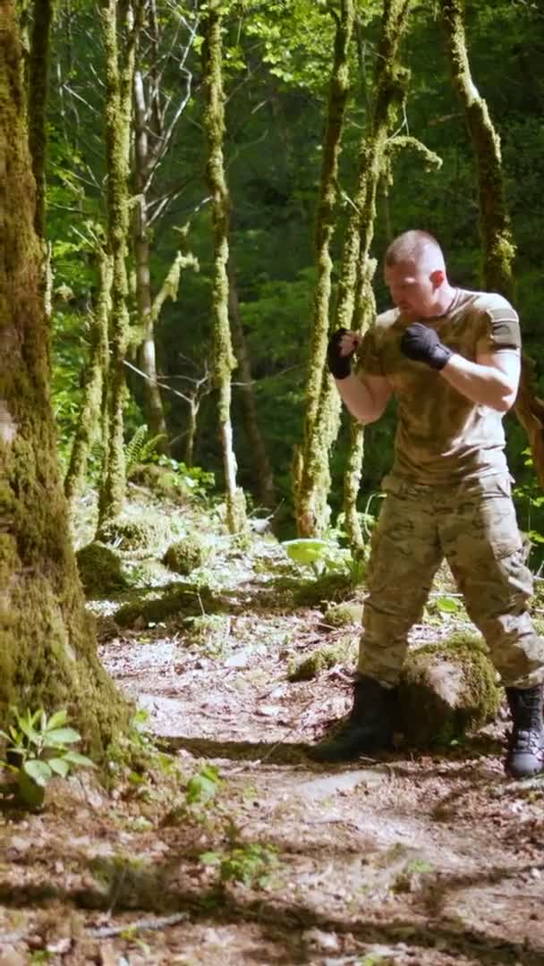 Vídeo vertical. un hombre con ropa caqui entrena en el bosque, pateando un tronco de árbol con musgo. lucha con un árbol — Vídeos de Stock