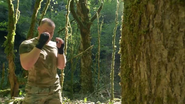 Um homem de roupas cáqui treina na floresta, chutando um tronco de árvore com musgo. lutar com uma árvore — Vídeo de Stock