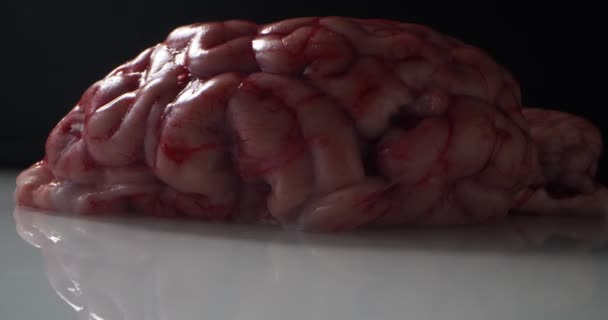Мигающий свет. подробный экстремальный крупный план мозга сырой говядины на черном фоне — стоковое видео