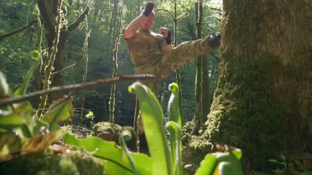 Un hombre con ropa caqui entrena en el bosque, pateando un tronco de árbol con musgo. lucha con un árbol — Vídeos de Stock