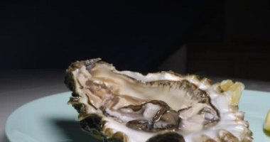 Detaylı aşırı yakın plan, açık istiridye limon dilimli koyu arkaplan