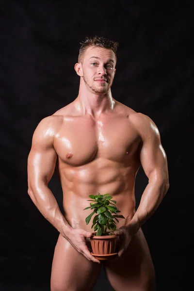 Bodybuilder håller en blomma i kruka — Stockfoto