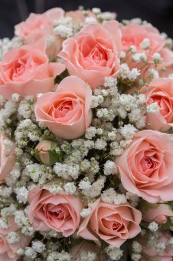 Bir buket pembe gül.