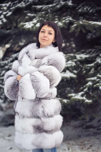 Зимова дівчина в розкішному хутряному пальто — стокове фото