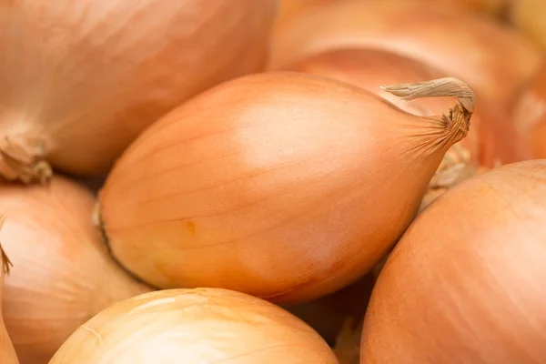 Rijp gouden boog. een groot aantal. — Stockfoto