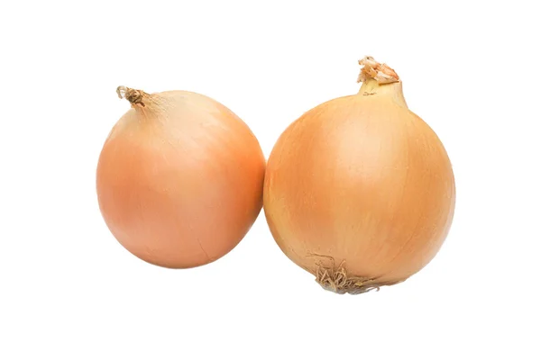Ripe onion on a white background Stock Photo