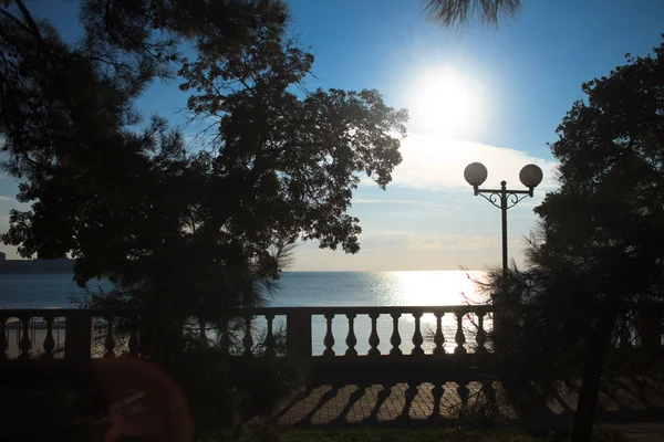 Paseo marítimo al atardecer. siluetas de árboles —  Fotos de Stock