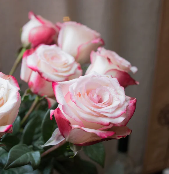 Roses dans un style vintage — Photo