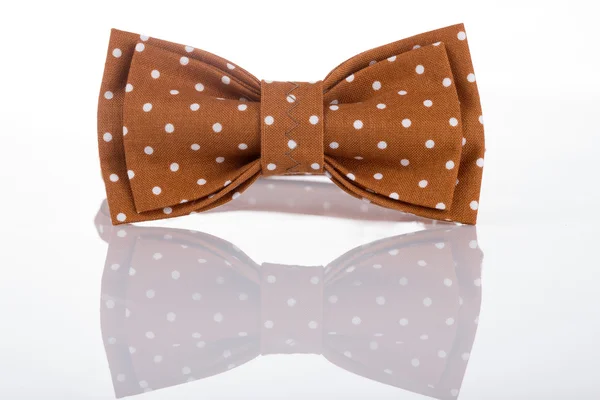 Brown bow tie on a white background — Stock Photo, Image