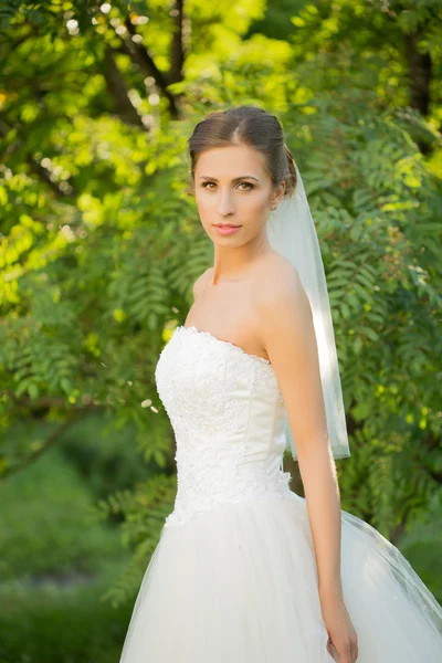 Novia de boda sonriendo . —  Fotos de Stock