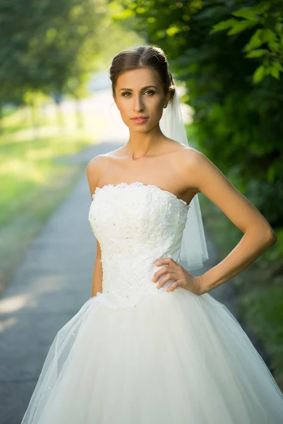 Novia de boda sonriendo . —  Fotos de Stock