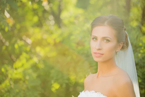 Novia de boda sonriendo . —  Fotos de Stock