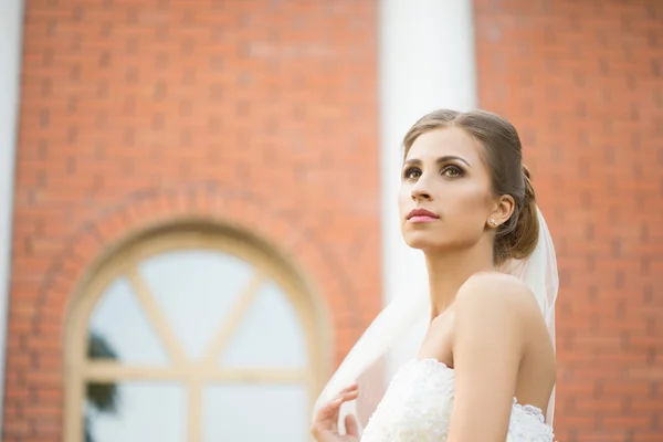 Bruid op een bakstenen muur achtergrond. Wedding Dress — Stockfoto