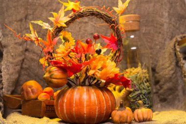 still life autumn harvest, pumpkins and mushrooms