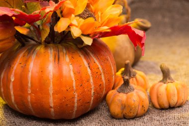 still life autumn harvest, pumpkins and mushrooms