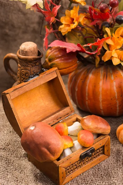 Still life autumn harvest, pumpkins and mushrooms — Zdjęcie stockowe