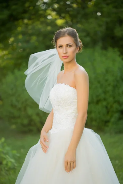 Retrato de una hermosa novia en el parque —  Fotos de Stock