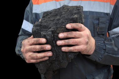 Coal in the hands of a miner. close-up clipart