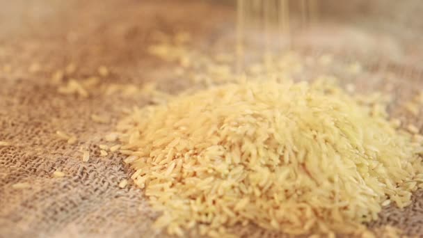 Derramamento de cereais de arroz no saco — Vídeo de Stock