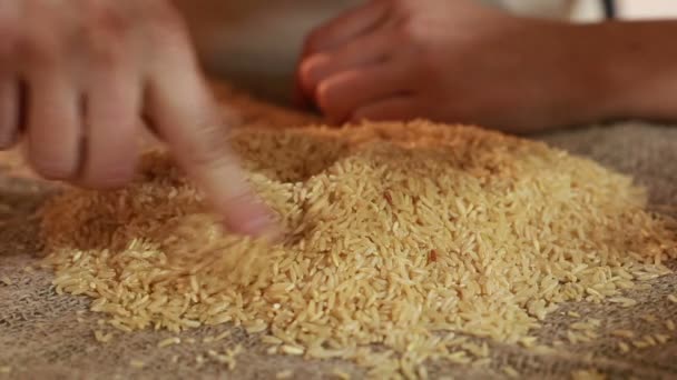 Arroz malo sucio y de baja calidad de cerca . — Vídeo de stock