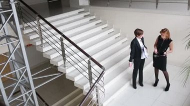 İki iş kadını bir kontratı tartışıyor. ofis etrafında dolaşmak