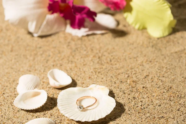 Wedding ring in a shell — Stock Photo, Image