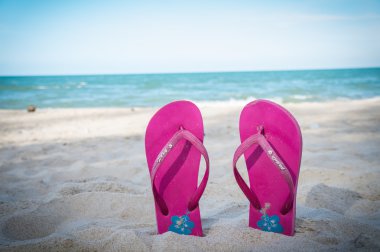 Sahilde pembe terlik