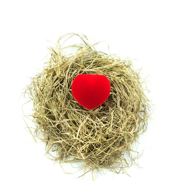 Rote Herzkiste auf dem Nest — Stockfoto