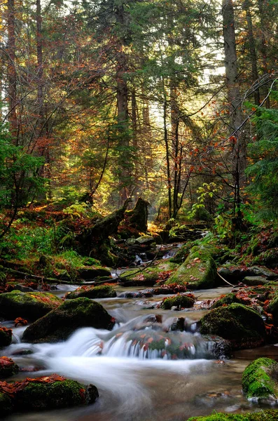 Rivière Montagne Aval Tôt Matin Avec Des Rayons Lumière Arrière — Photo