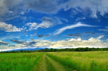 Ardı ardına bahar manzarası, yoğun mavi gökyüzü ve bulutlar. 