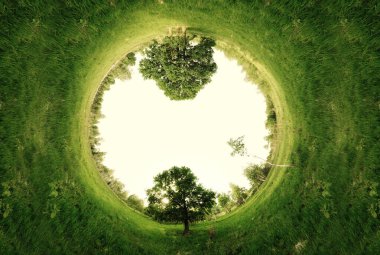 Ağaçlı yeşil bir alanın stereografik panoramik yansıması.