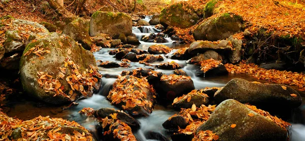 Fiume Con Foglie Nei Colori Dell Autunno — Foto Stock