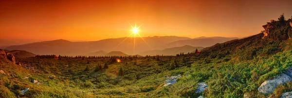 Zomer Landschap Bergen Zonsopgang Panorama — Stockfoto