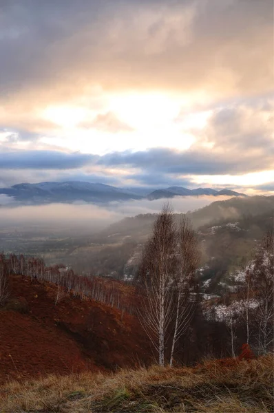 Morning Landscape Trees Foreground Clouds Fog — Stock Photo, Image