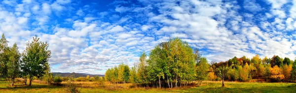 Podzimní Krajina Jasně Modrou Oblohou Barevným Lesem — Stock fotografie