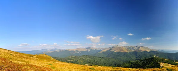 Panorama Van Bergtoppen Zomer Locatie Tarcu Mountain — Stockfoto